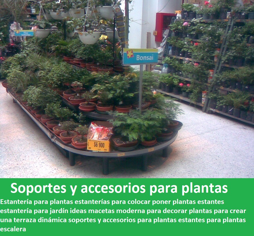 Estantería para plantas estanterías para colocar poner plantas estantes estantería para jardín ideas macetas moderna para decorar plantas para crear una terraza dinámica soportes y accesorios para plantas estantes para plantas escalera 0 1 2 3 4 5 6  7 8 9 0 Estantería para plantas estanterías para colocar poner plantas estantes estantería para jardín ideas macetas moderna para decorar plantas para crear una terraza dinámica soportes y accesorios para plantas estantes para plantas escalera 0 Estantería para plantas estanterías para colocar poner plantas estantes estantería para jardín ideas macetas moderna para decorar plantas para crear una terraza dinámica soportes y accesorios para plantas estantes para plantas escalera 0 1 2 3 Estantería para plantas estanterías para colocar poner plantas estantes estantería para jardín ideas macetas moderna para decorar plantas para crear una terraza dinámica soportes y accesorios para plantas estantes para plantas escalera